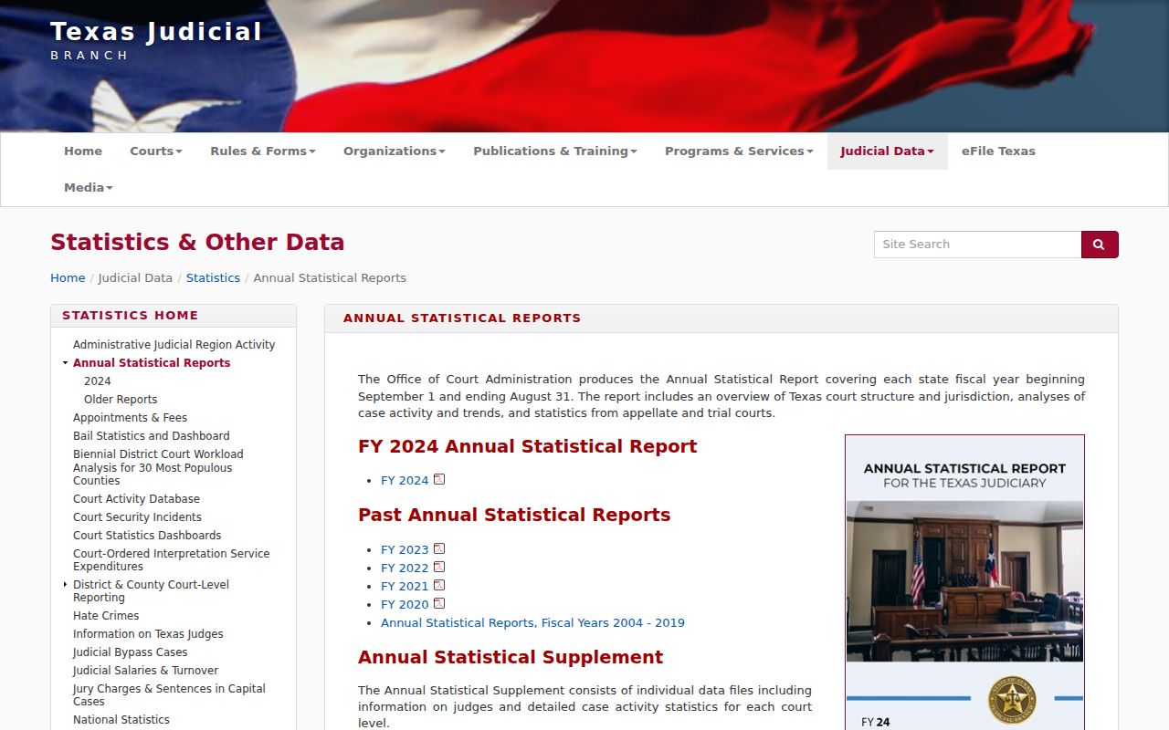 Zapata County criminal court statistics source